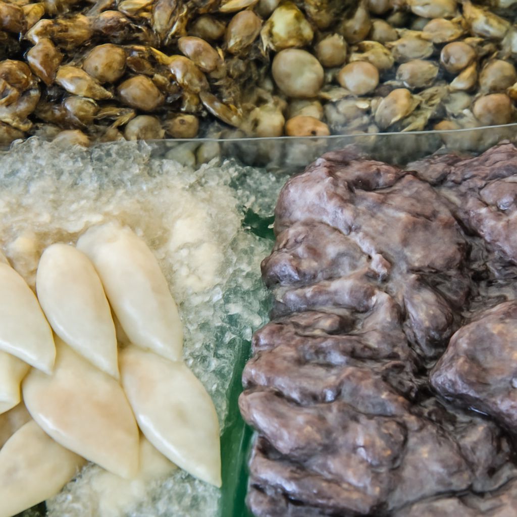 is calamari squid or octopus, calamari squid or octopus