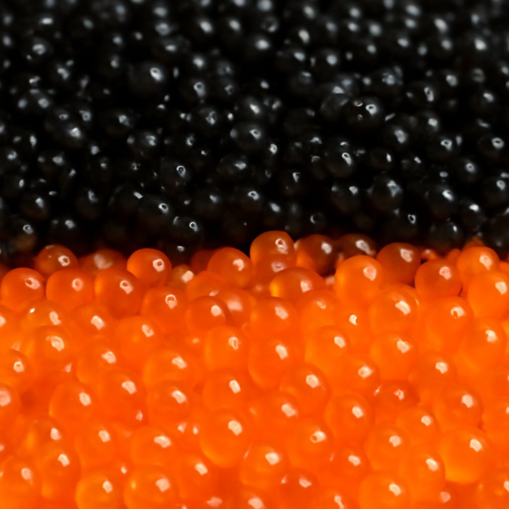 Understanding roe vs caviar and the difference between roe and caviar